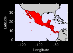Central America Local Context Map