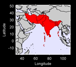 Southern Asia Local Context Map