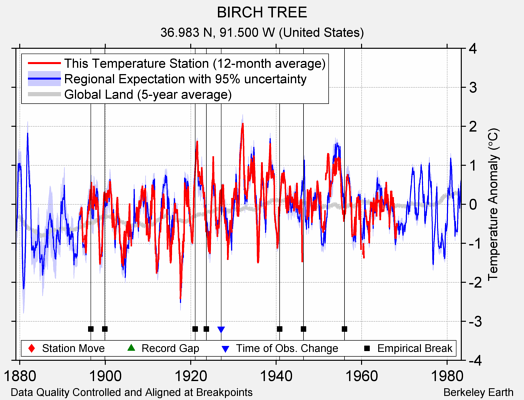 BIRCH TREE comparison to regional expectation