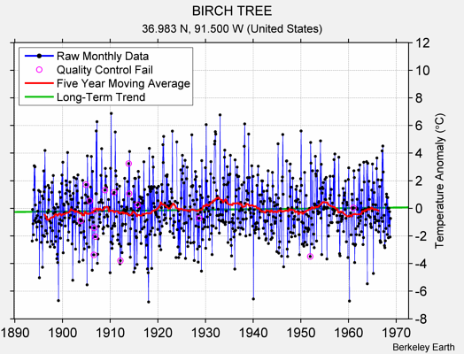 BIRCH TREE Raw Mean Temperature